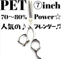Item thumbnail for item 23878b4f-081b-4852-add3-ccf546e1cc66