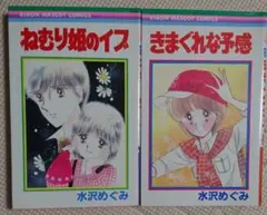水沢めぐみ ねむり姫のイブ きまぐれな予感 2冊セット