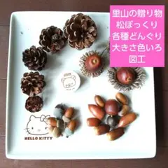 Item thumbnail for item be04a818-4d20-41ab-b215-3bcd850b6a47