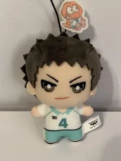 ハイキュー！！　サンリオ　岩泉一 ちみっともぬい