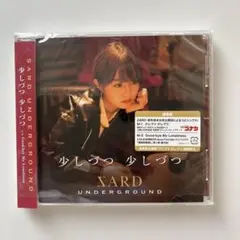 SARD UNDERGROUND / 少しづつ 少しづつ CDシングル・帯付き