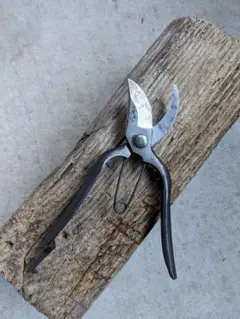 剪定バサミ