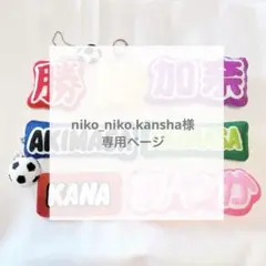 専用　平面ボールキーホルダー