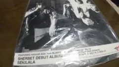 SHERBETS 「SEKILALA」 12インチアナログレコード盤 浅井健一 浅井健一 シャーベッツ セキララ アナログ - メルカリ