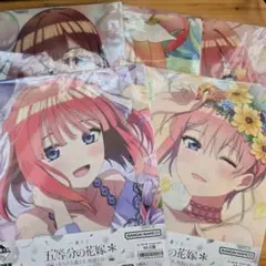 一番くじ クリアファイル 5点セット