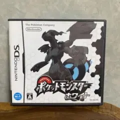 も25◆ケースのみ DS ポケットモンスターホワイト