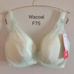 Item thumbnail for item a6a4d0d8-cbb2-450f-8bc4-420c03a01317