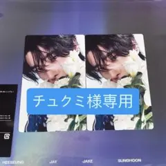 専用ページ