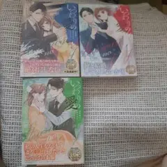 いつわりの愛～契約婚の旦那さまは甘すぎる～1巻～３巻