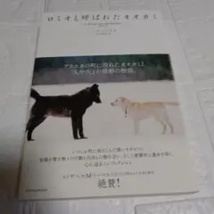 帯付き 「ロミオと呼ばれたオオカミ」 田口 未和 / ニック・ジャンズ