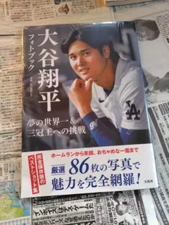 未開封！　大谷翔平フォトブック 夢の世界一&三冠王への挑戦