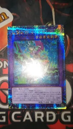 遊戯王　聖霊獣騎 カンナホーク　25th 絵違い