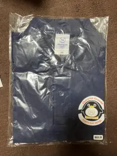 Item thumbnail for item c86ce49b-7af1-445d-b921-4dad7bf69cfd