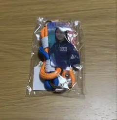 Item thumbnail for item b9158df9-a4eb-466a-bb98-abda677641ff