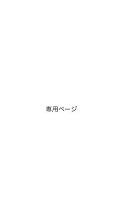 専用ページ