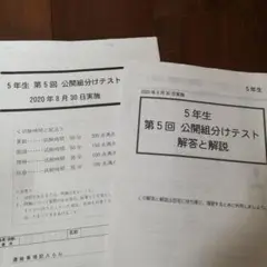 5年生 第5回 公開組分けテスト 四谷大塚 早稲アカ 2020年8月実施