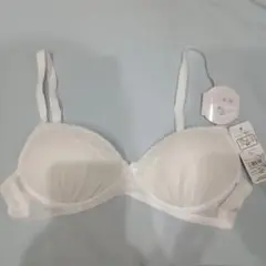 Item thumbnail for item 6b29038e-d16d-4333-9374-255ff453ad5c