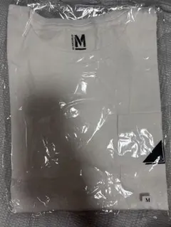 Item thumbnail for item ba703a55-ab2e-4b0b-bbb3-4a8156a2f1a2