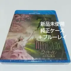 Item thumbnail for item 7cc47a0d-a577-4049-8c88-1d382c45e0ac