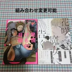 BL２冊セット219