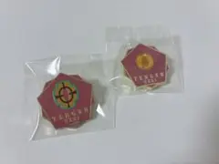 鬼滅の刃　柱展　柱百景　コレクションピンズ　宇髄