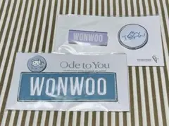 SEVENTEEN ウォヌ ワッペン&バッジ 2点セット