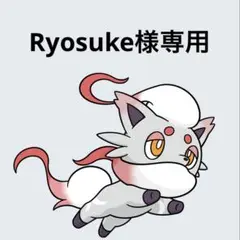 専用出品