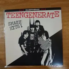 TEENGENERATE 10inchレコード TEENGENERATE - メルカリ