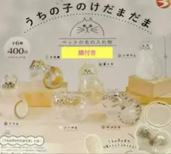 うちの子のけだまだま　ガチャ　全6種セット ☆注意事項あり☆