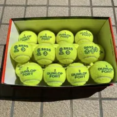 DUNLOP FORT 中古テニスボール 20個セット