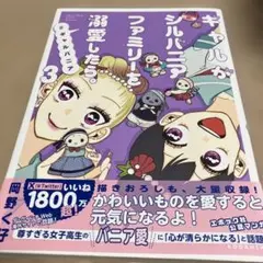 ギャルがシルバニアファミリーを溺愛したら3