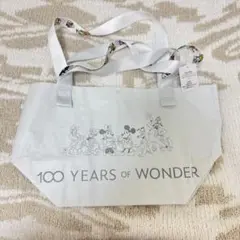香港ディズニー　バッグ　100周年