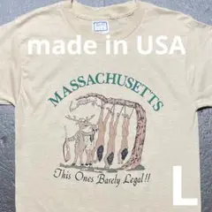 80s 米国製 シングルステッチ ヴィンテージTシャツ L ベージュ