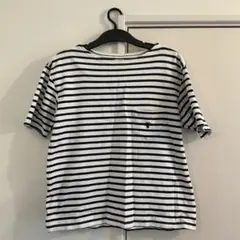 COEN ストライプ Tシャツ M