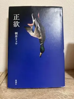正欲
