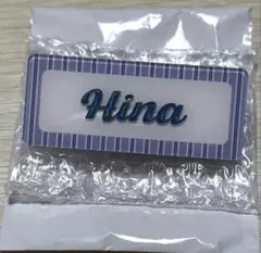 Cool　ランダムネームバッジ　稲熊ひな