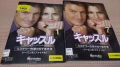 キャッスルミステリー作家のNY事件簿 シーズン8中古DVDレンタル落ち品全11枚