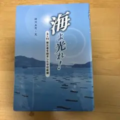 海よ光れ！ 田沢五月著