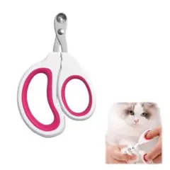 Item thumbnail for item 565d24a9-71a4-41bb-b99f-0e0229464807