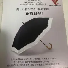 美品 資生堂 花椿クラブ 雨天兼用 傘 日傘 近沢レース 高級 - メルカリ
