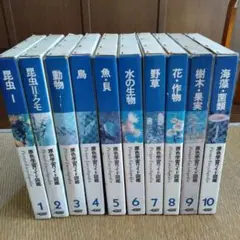 原色 学習 ワイド 図鑑　1〜10巻セット