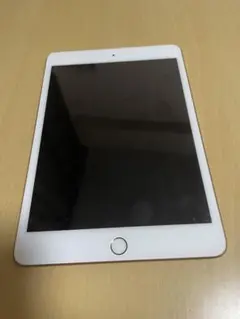 Apple iPadmini 第5世代
