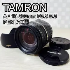 Item thumbnail for item 88676d17-4dfd-4b9f-8bee-ec74a41e255f