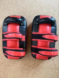 SAMURAI GYM パンチングミット 2つセット