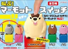 叫ぶ　マーモット スイッチ