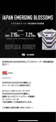 2025年最新】エマージングブロッサムの人気アイテム - メルカリ