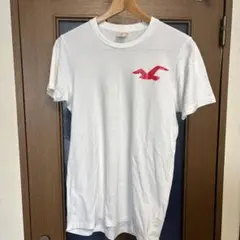 美品　ホリスター HOLLISTER Co. HCO Tシャツ