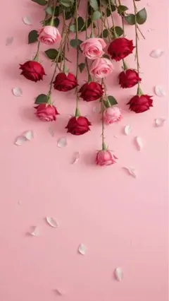 専用ページ