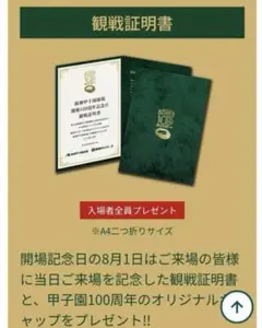 KOSHIEN STADIUM 100TH ANNIV 2024 記念冊子