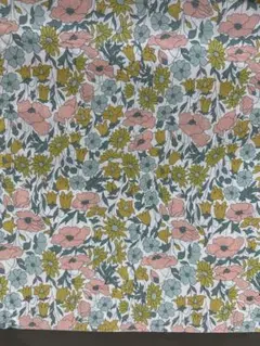 Item thumbnail for item ff386072-801a-489a-9f33-0c4044d44726